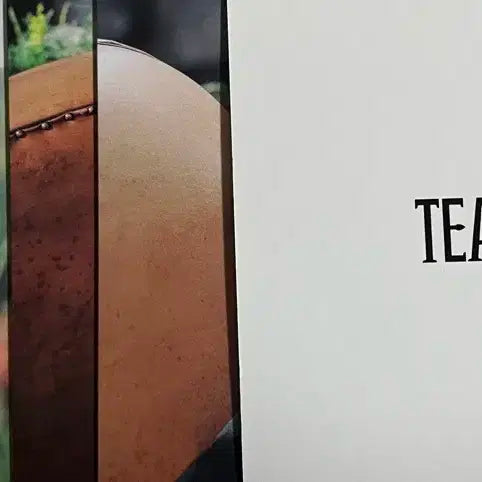 보이넥스트도어 보넥도 Teazle 티즐 포토카드 분철 양도