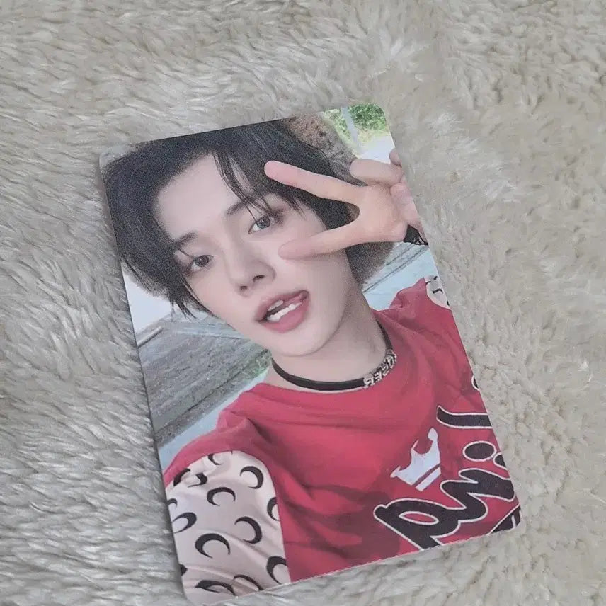 투바투 파오이 연준 포카 양도