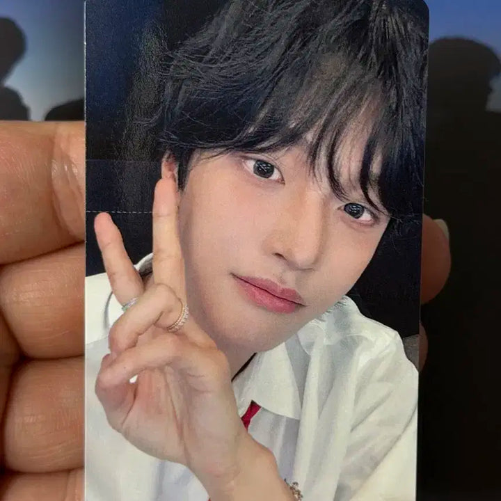 라이즈 원빈 오디세이 인터아시아 럭드 양도