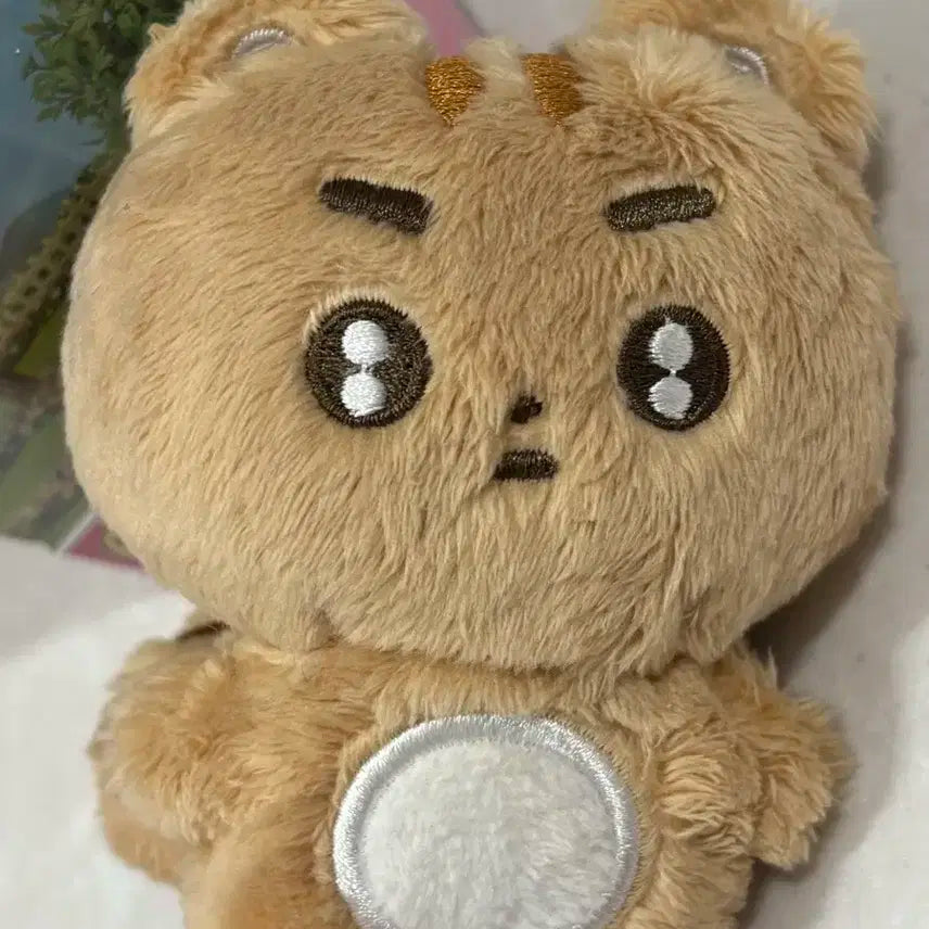 투바투 태현 인형 뽀송텬