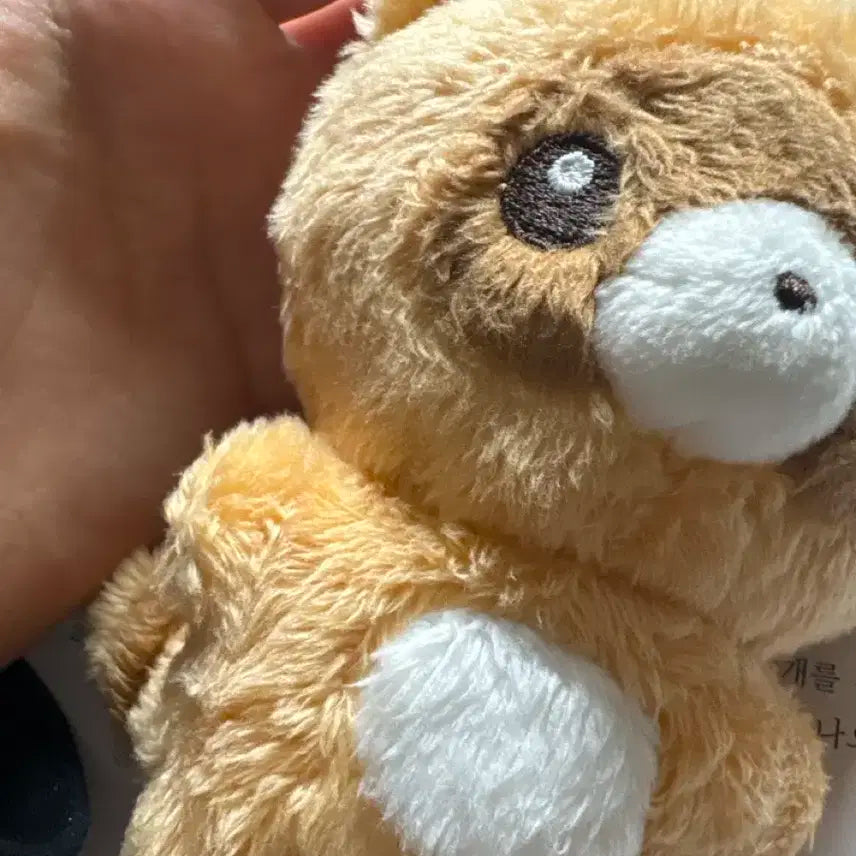 제베원 솜하오 제로베이스원 장하오 솜하오