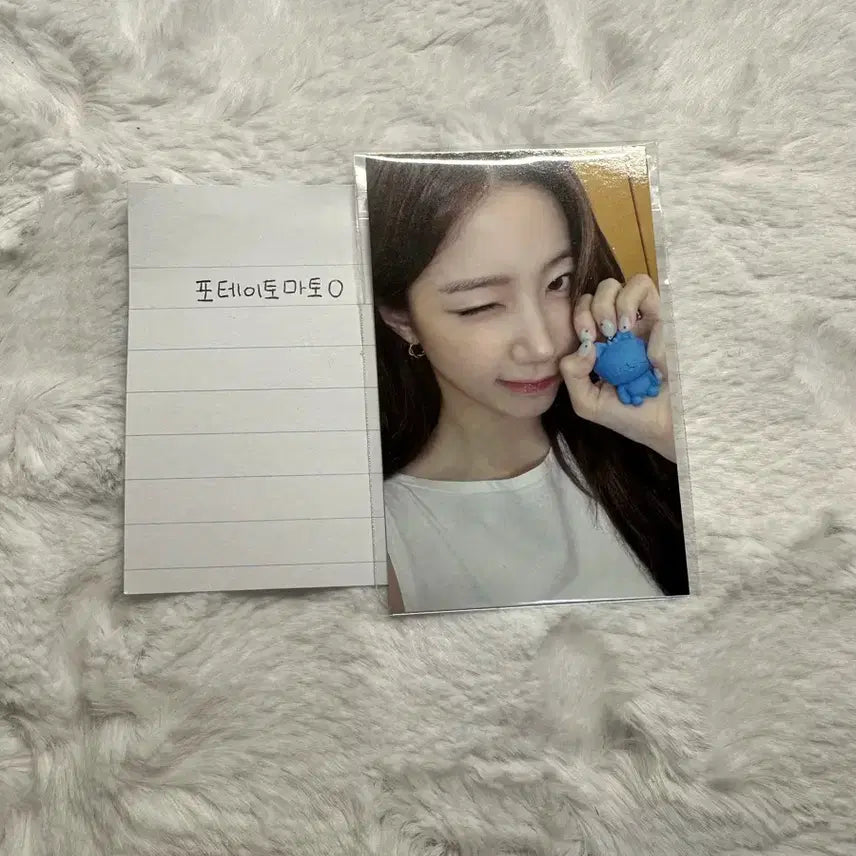 르세라핌 핌즈클럽 팝업 특전 (카즈하)