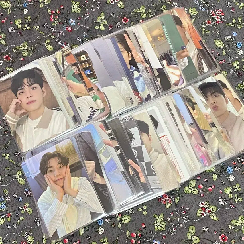 (일괄) 데이식스 포카 67장