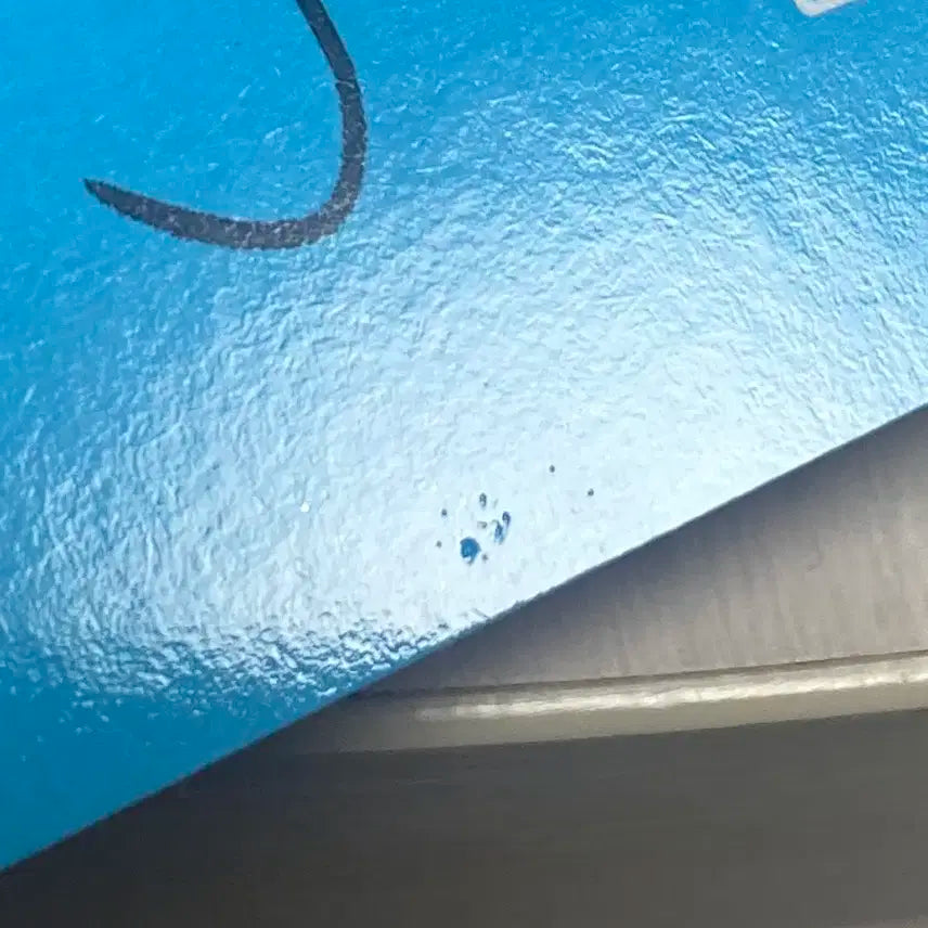 엔시티위시 사쿠야 서프 포카