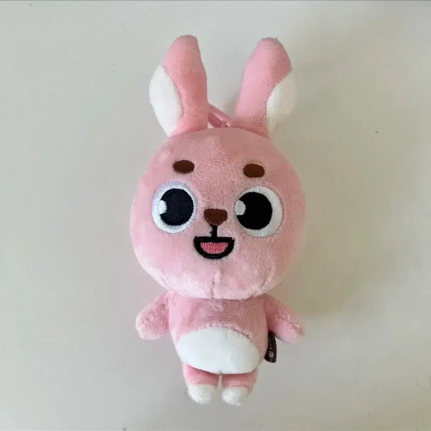 데이식스 2022 데니멀즈 필 팝니다