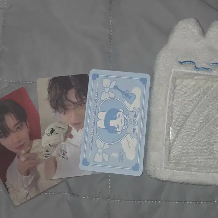 모닝슈 세븐틴 조슈아 털 포카 홀더