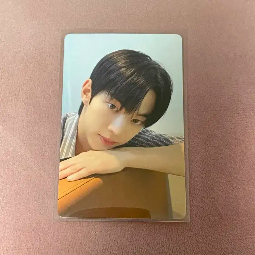 투어스 도훈 이즈위 포카 양도