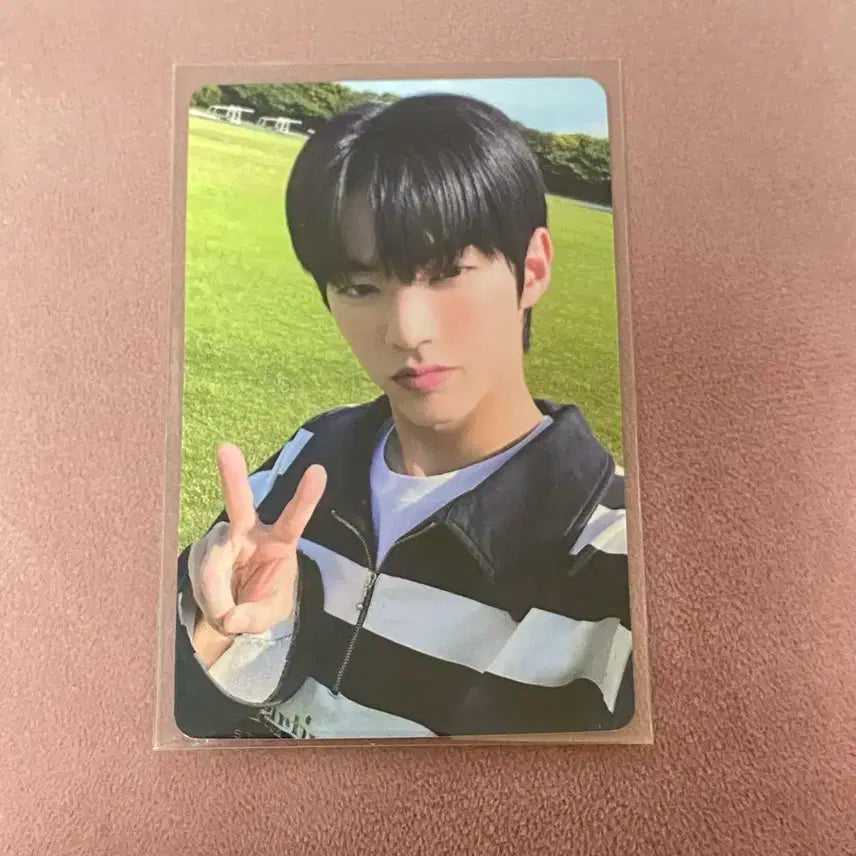 투어스 도훈 이즈위 포카 양도