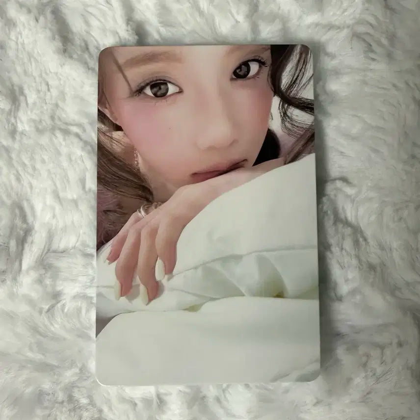 moevir 윈터 양도