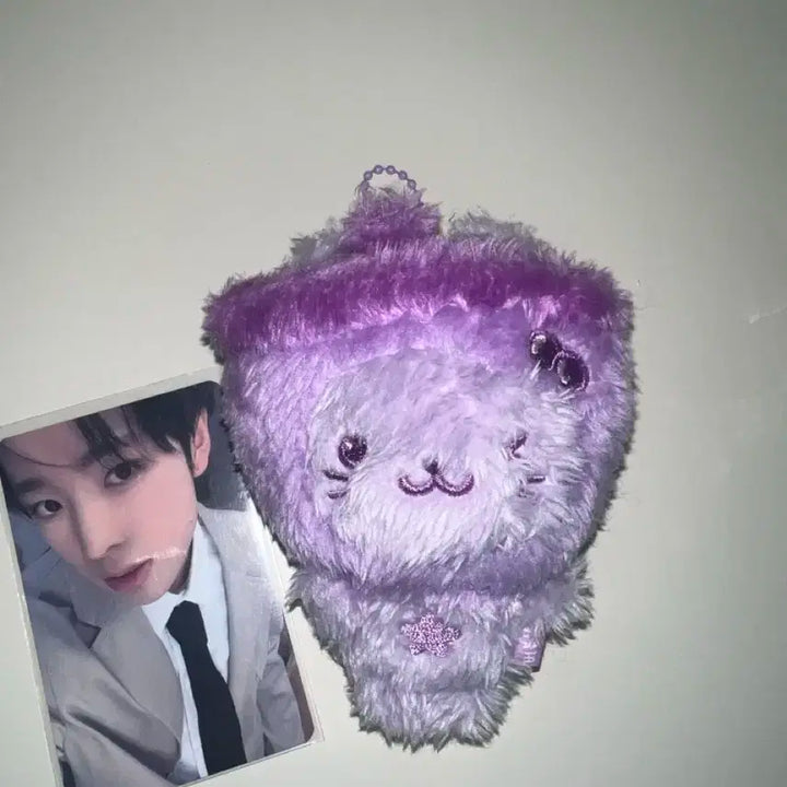 버블냥 보라 유우시 인형 타로 버블냥 (반택 포함)