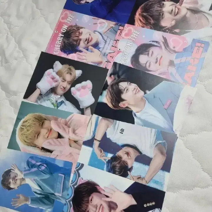 제로베이스원 석매튜 공굿 비공굿 특전 튜룽지 포카 엽서 미공포 양도 처분