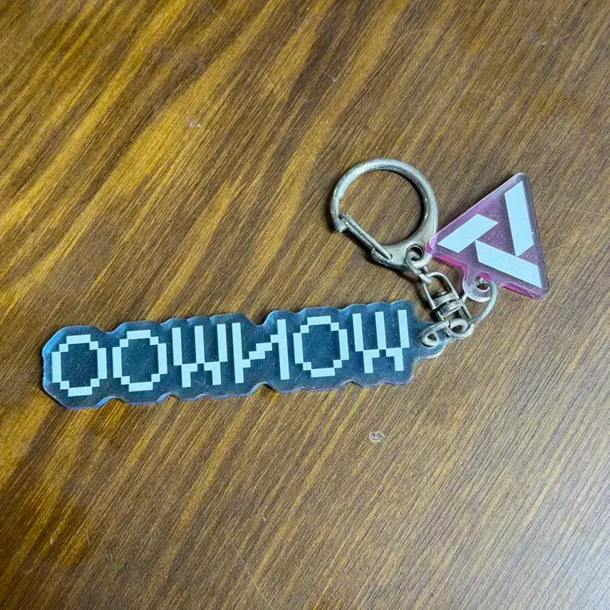 세븐틴 원우 키링