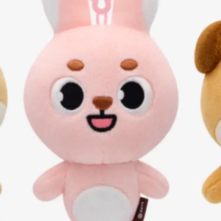 데이식스 필끼 원필 22