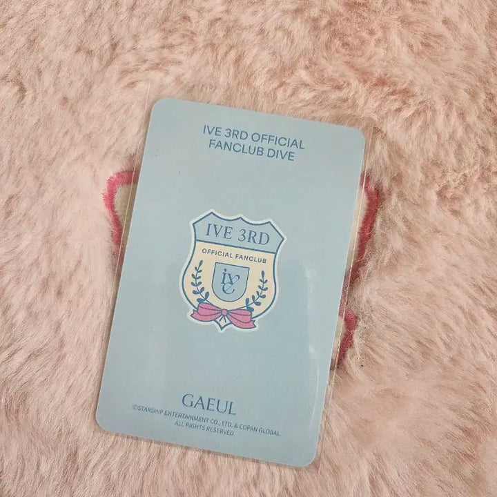 IVE아이브 DIVE다이브3기 스카우트Ver. -가을-