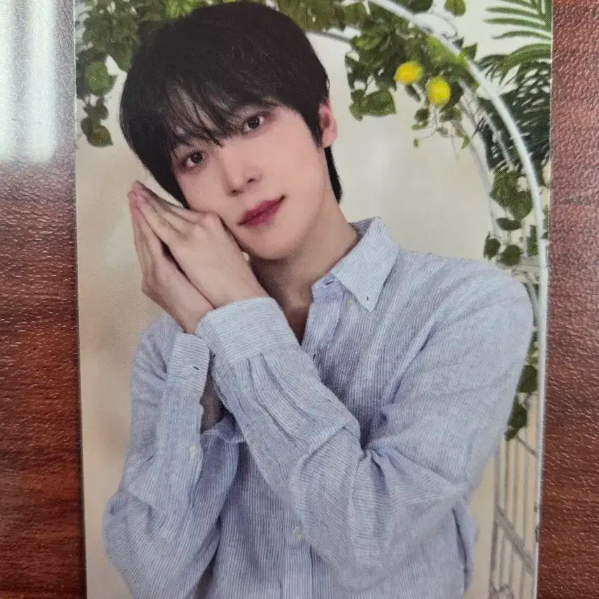 에이티즈 마이티즈 5만원 포카 윤호