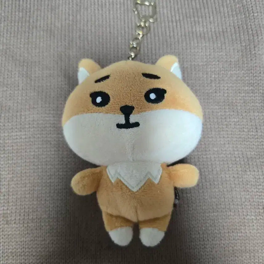 데이식스 영케이 데니멀즈 케 인형