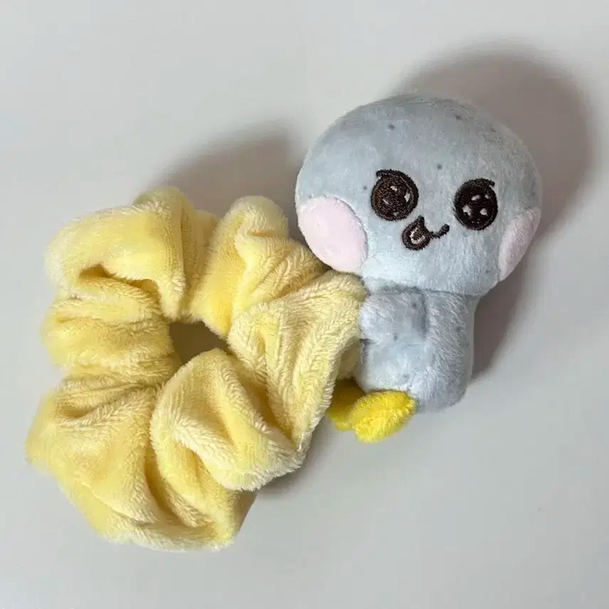 라이즈 송은석 송용돌이 스크런치