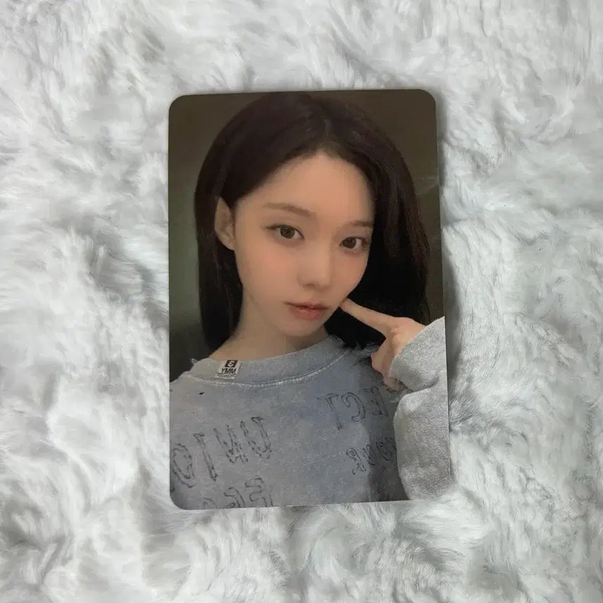 더티워크 스타리버 윈터 양도