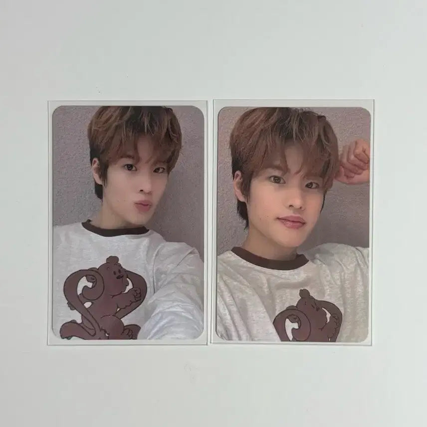 라이즈 소희 포카 일괄