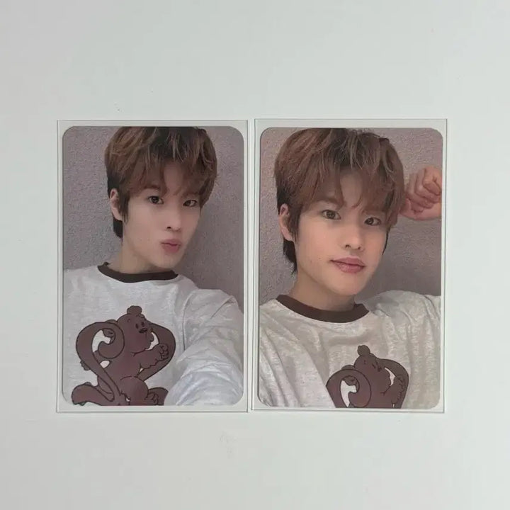 라이즈 소희 포카 일괄