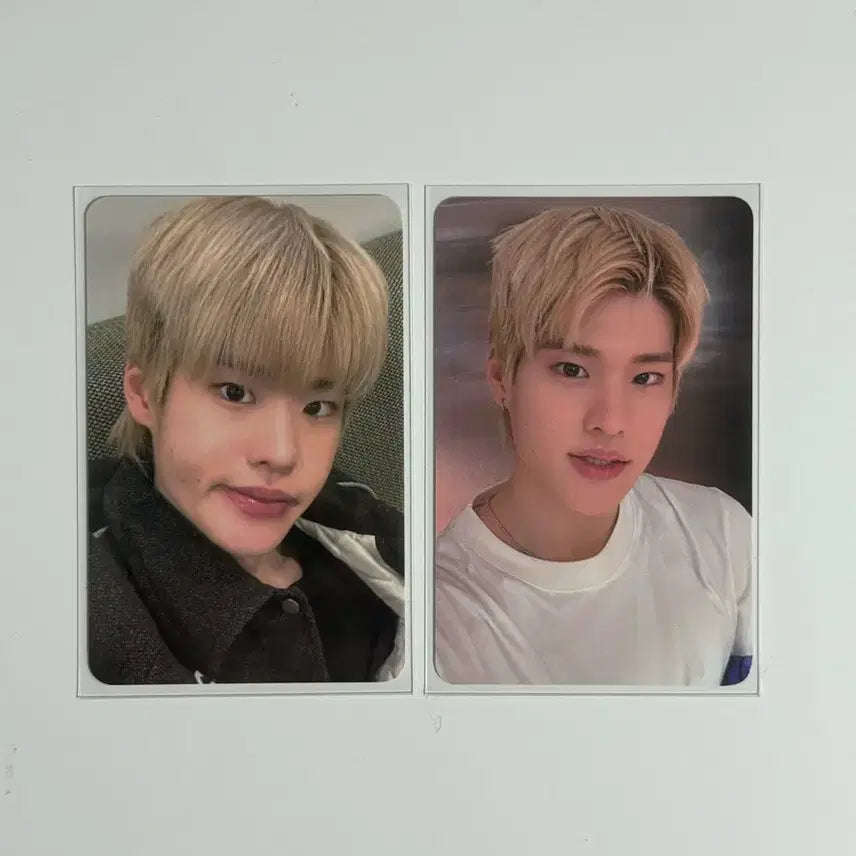 라이즈 소희 포카 일괄