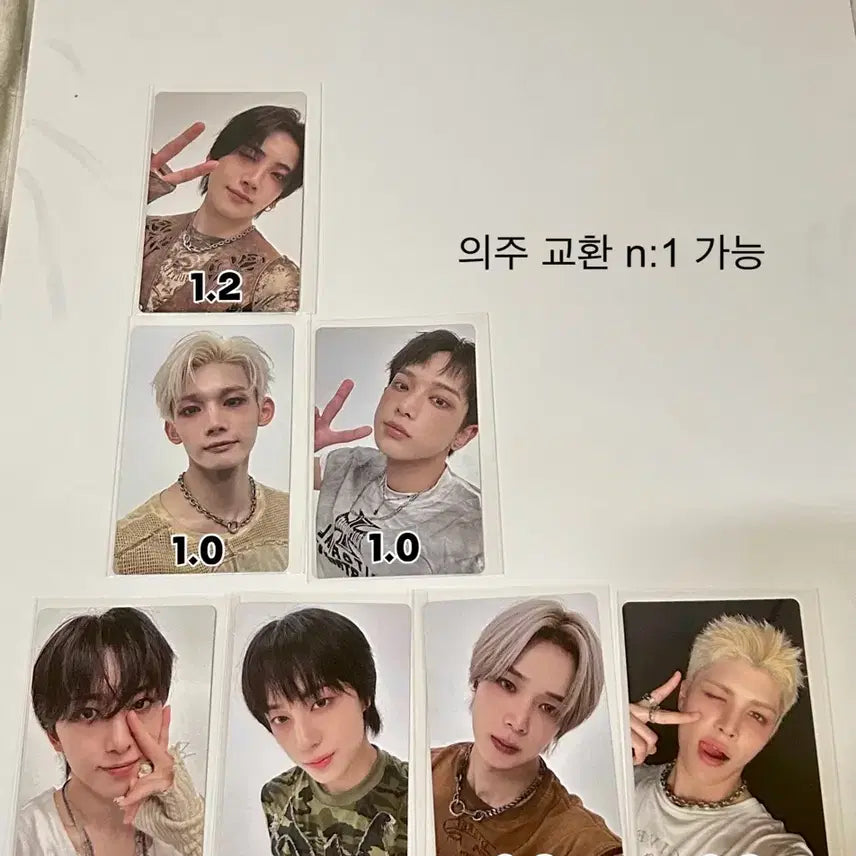 앤팀 백투라 백투라이프 위버스샵 럭키드로우 2차 유마 양도