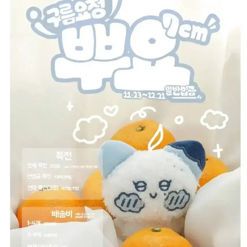 세븐틴) 부승관 뿌요 인형 양도합니다.