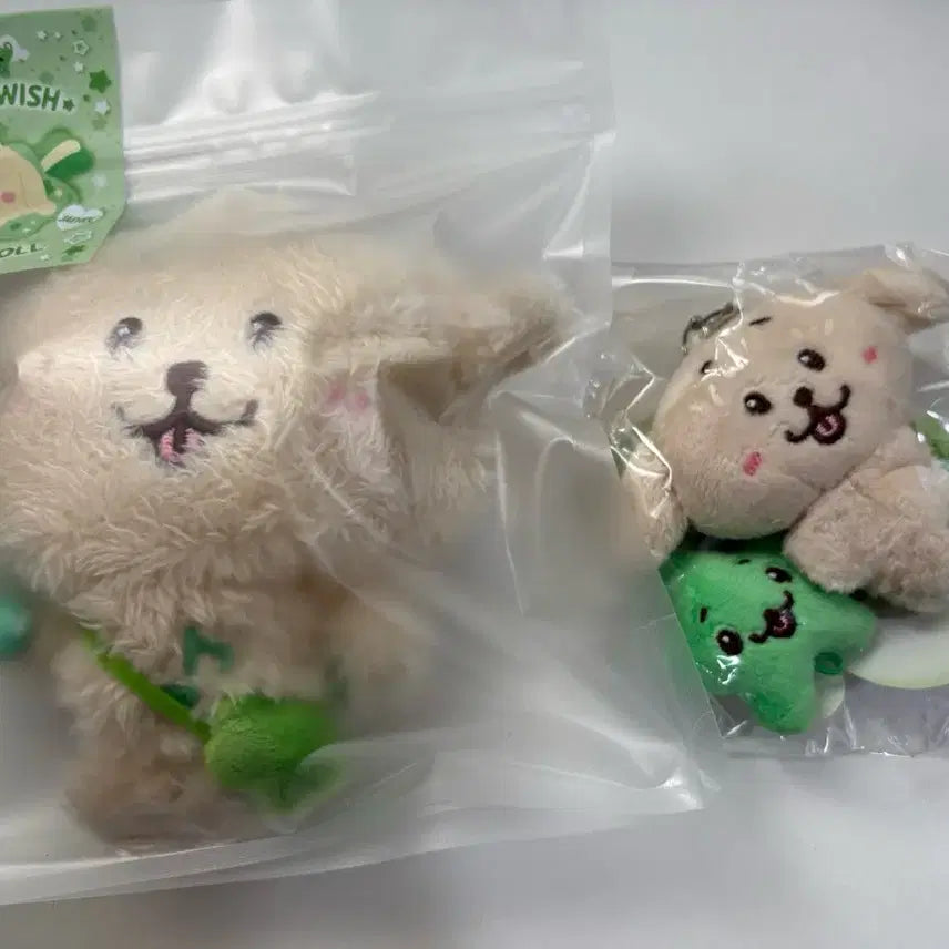 엔시티 위시 댕트리버 위시돌, 미니돌 일괄