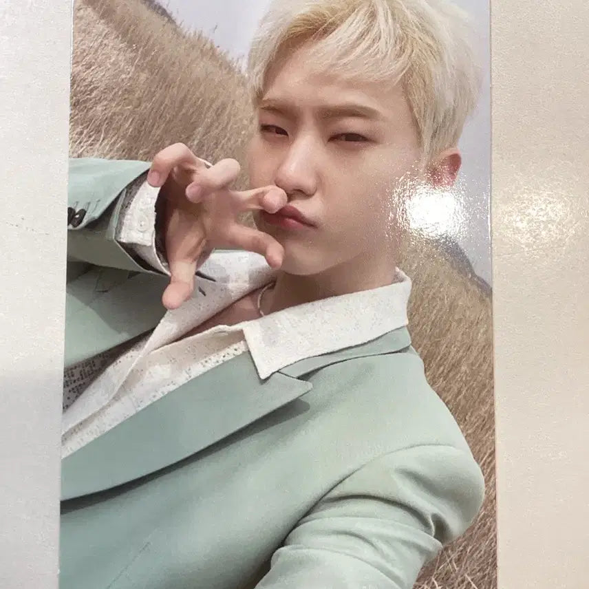 세븐틴 호시 페더썬 포카