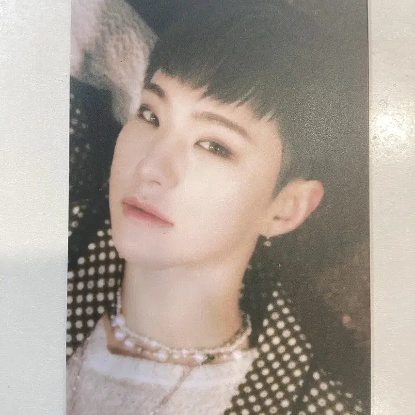 세븐틴 호시 페더썬 포카