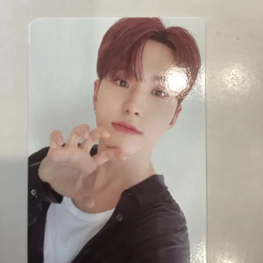 세븐틴 호시 시그 포카