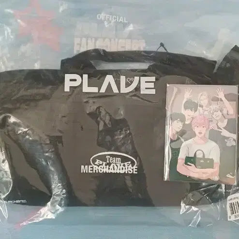 플레이브 응원봉 가방 & 빅포카