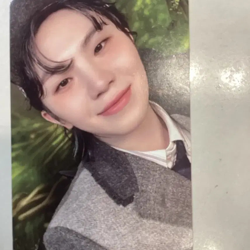 세븐틴 우지 마에스트로 포카