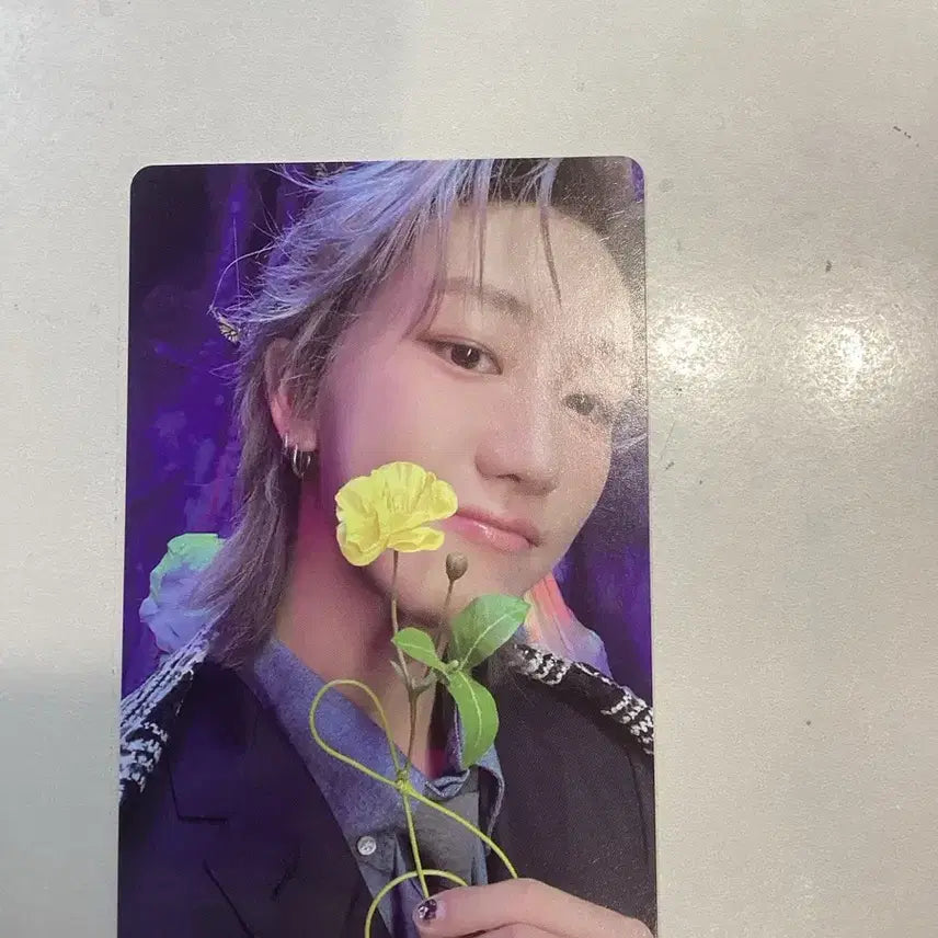 세븐틴 디에잇 마에스트로 포카