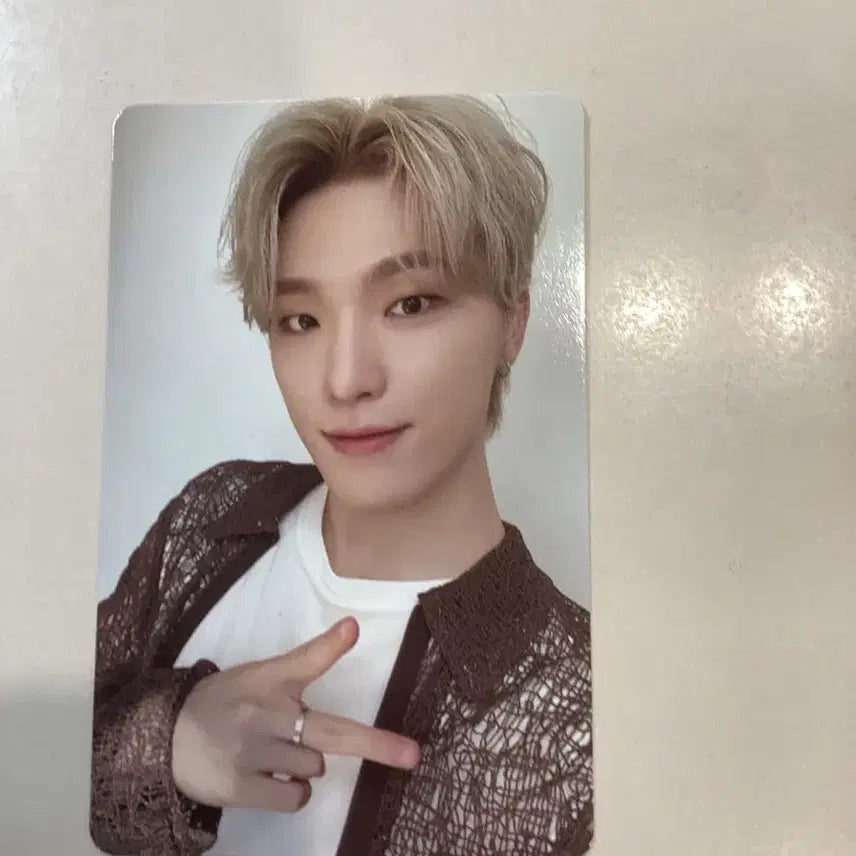 세븐틴 디노 시그 포카