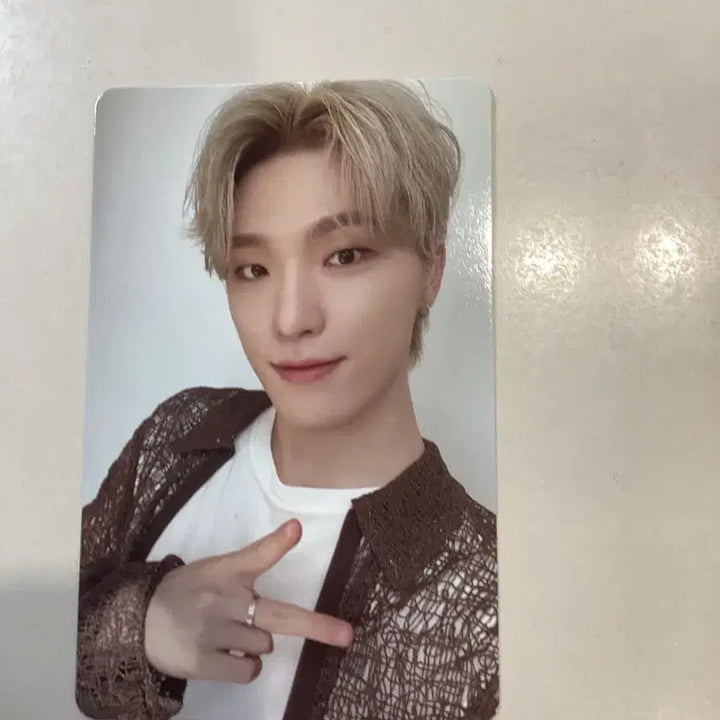 세븐틴 디노 시그 포카