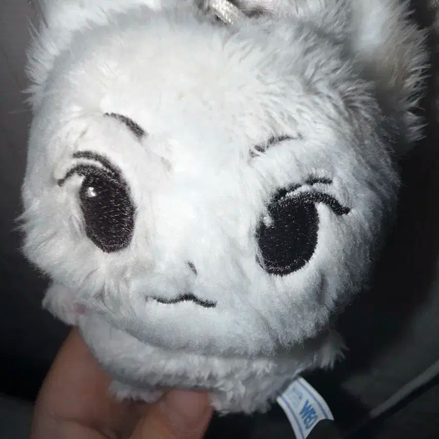 엔하이픈 양정원 냥쭈고 10cm 인형 판매