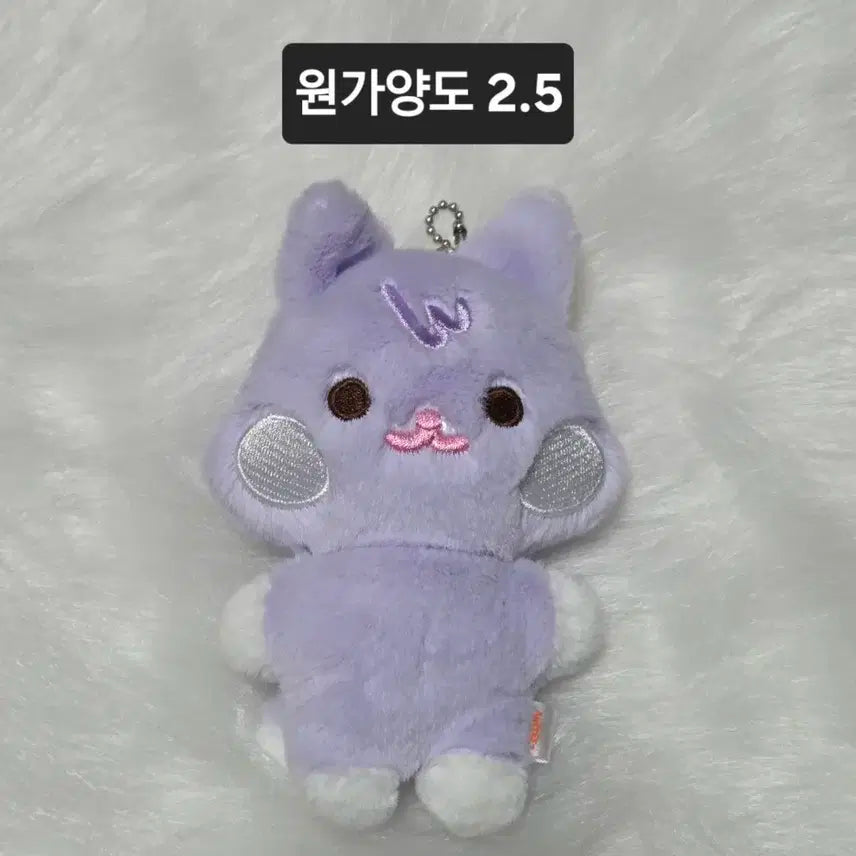 애니티즈 플랫퍼 산덕이 에이티즈