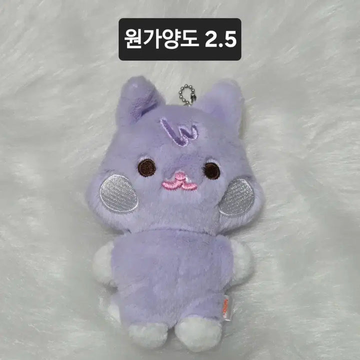 애니티즈 플랫퍼 산덕이 에이티즈