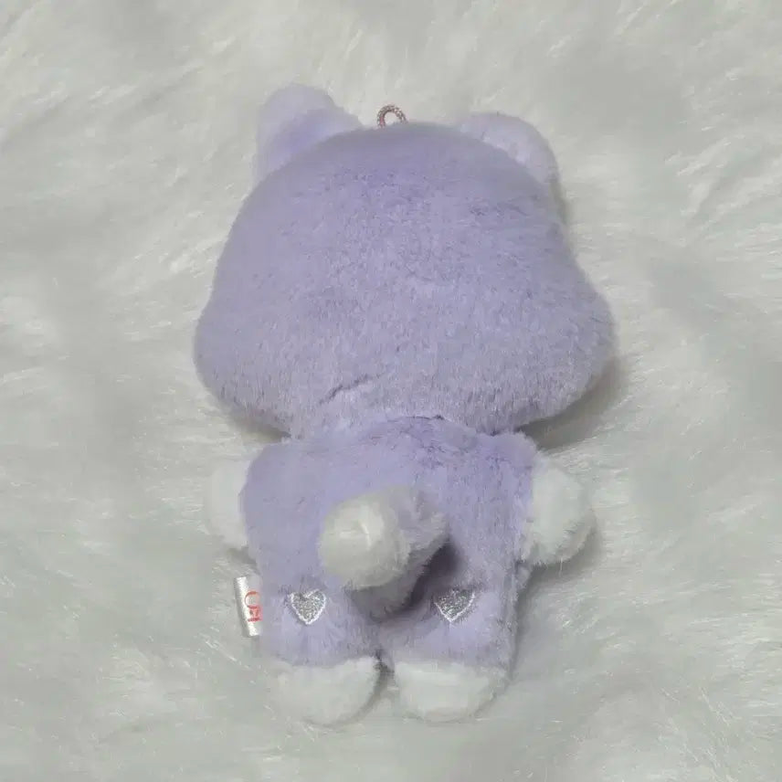 애니티즈 플랫퍼 산덕이 에이티즈