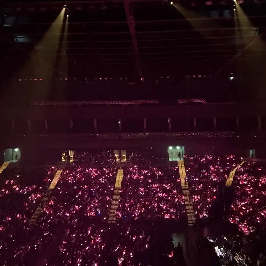 제니 본핑크 포카