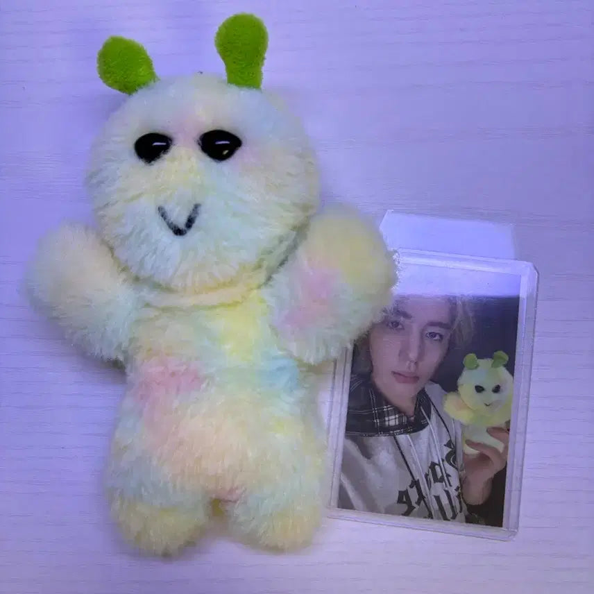 보넥도 쁘넥도 이한 삼한이 312 인형