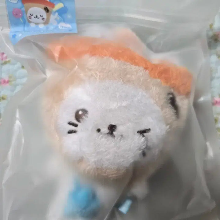 엔시티위시 위시돌 버블냥