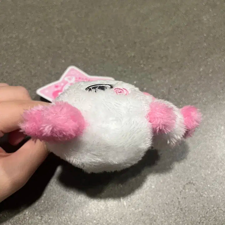 NCT WISH SAKUYA 엔시티 위시 사쿠야 팡이 인형