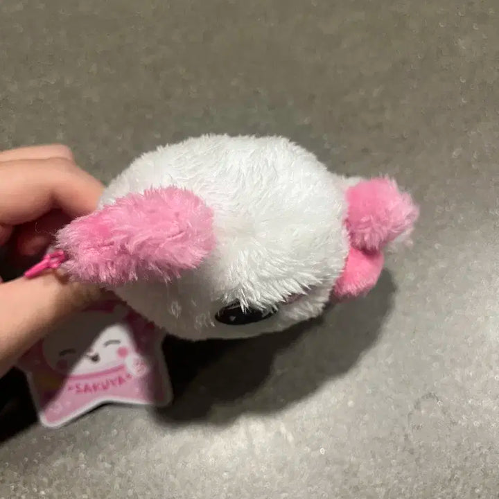 NCT WISH SAKUYA 엔시티 위시 사쿠야 팡이 인형