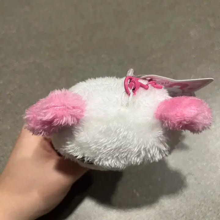 NCT WISH SAKUYA 엔시티 위시 사쿠야 팡이 인형