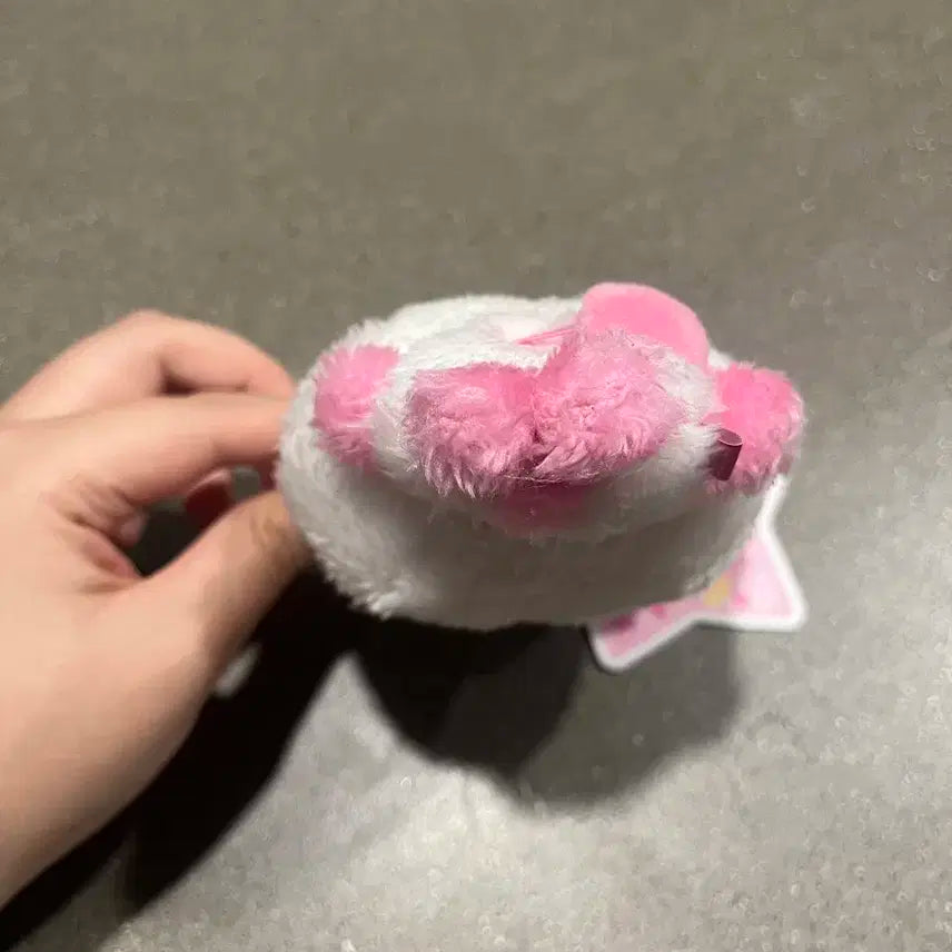 NCT WISH SAKUYA 엔시티 위시 사쿠야 팡이 인형