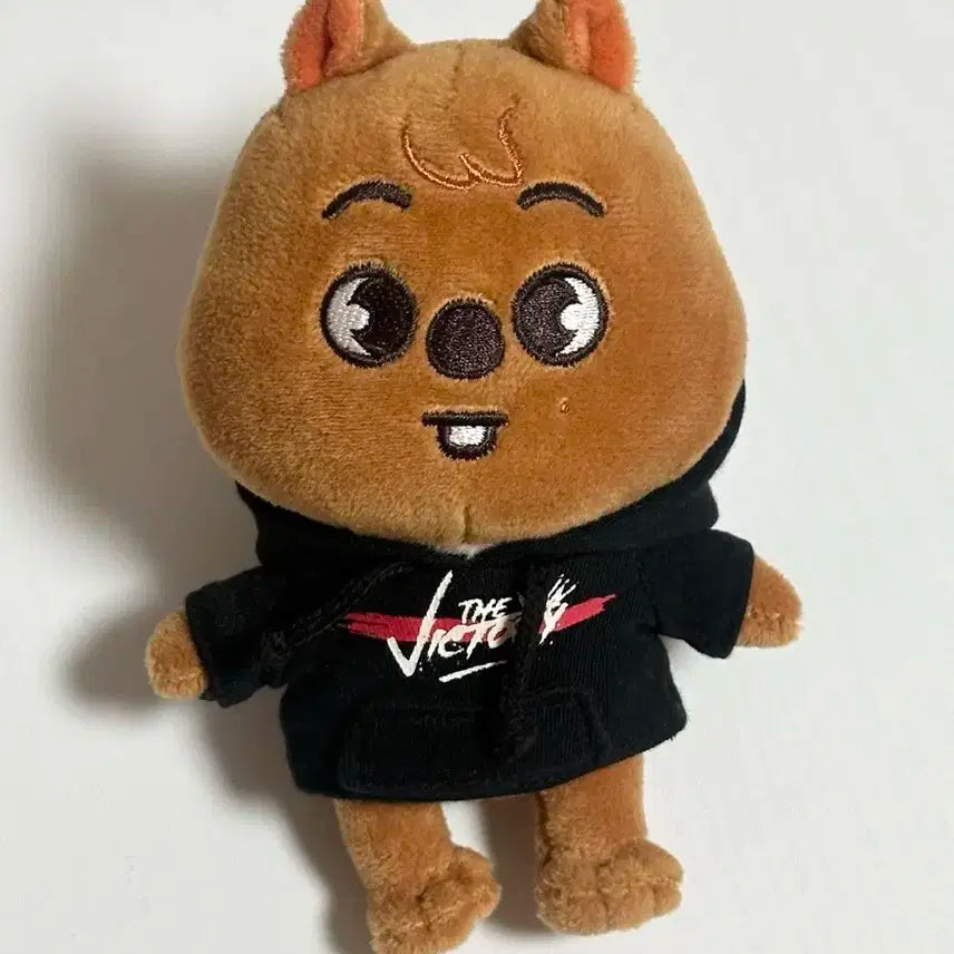 SKZ 스트레이키즈 스키즈 스키주 한 한지성 한쿼카 15cm 인형