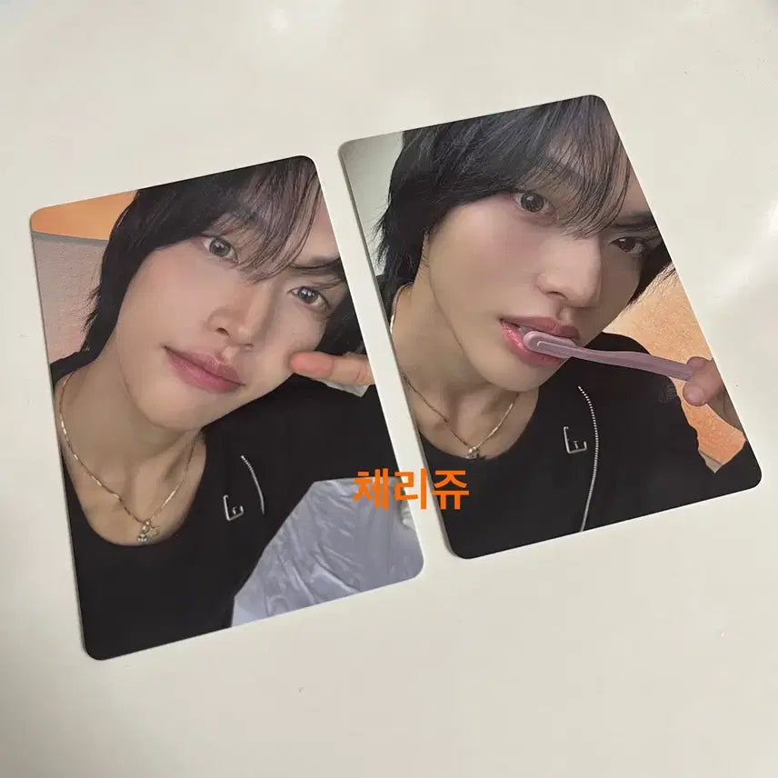 디아이콘 라이즈 원빈 A 2장 일괄