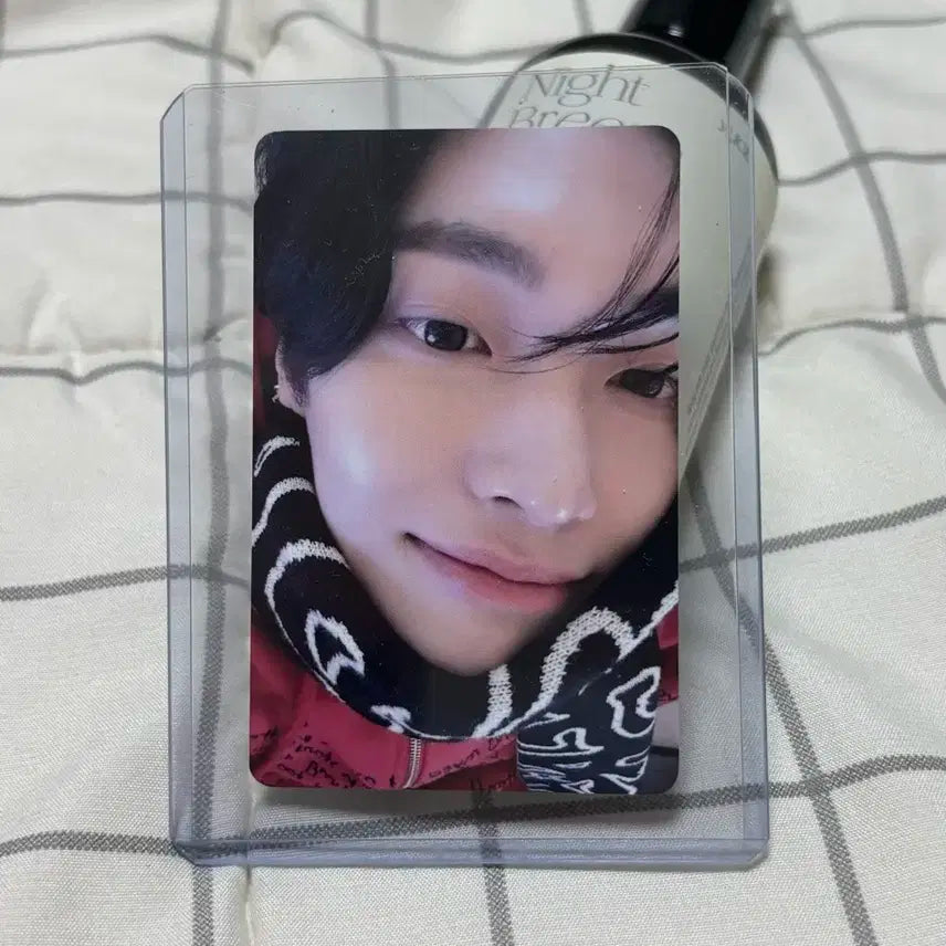 라이즈 머플러 원빈 포토카드